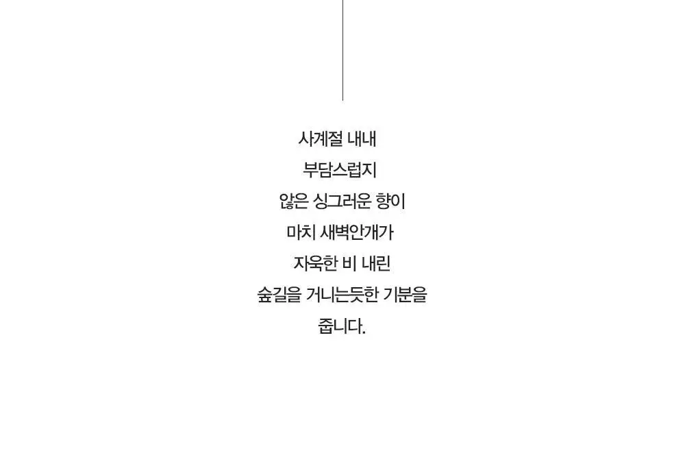 [땀냄새 제거] 다슈 솔루션 퍼퓸 데오 바디스프레이 200ml(딥우디향) 상세페이지 5